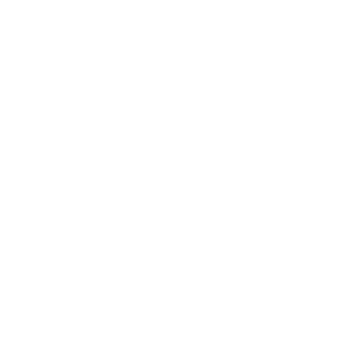 revolut logo